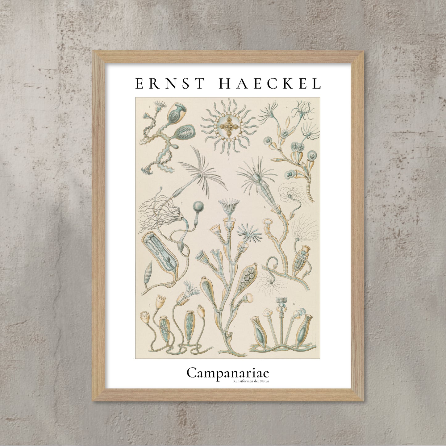 Poster med vintage marin illustration – klockformade djur