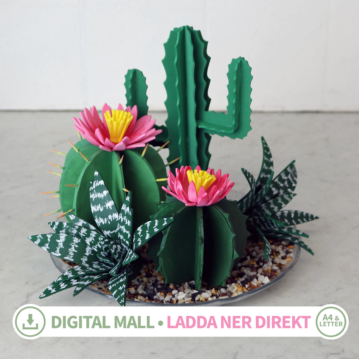 Nedladdningsfiler mallar kaktus & suckulent